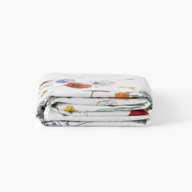 Eloges cotton percale bed sheet