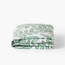 Balata cotton percale fitted sheet