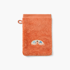 Wonderful squirrel cotton washcloth