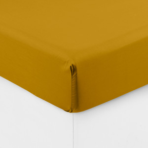 Neo curry cotton percale fitted sheet
