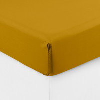 Neo curry cotton percale fitted sheet