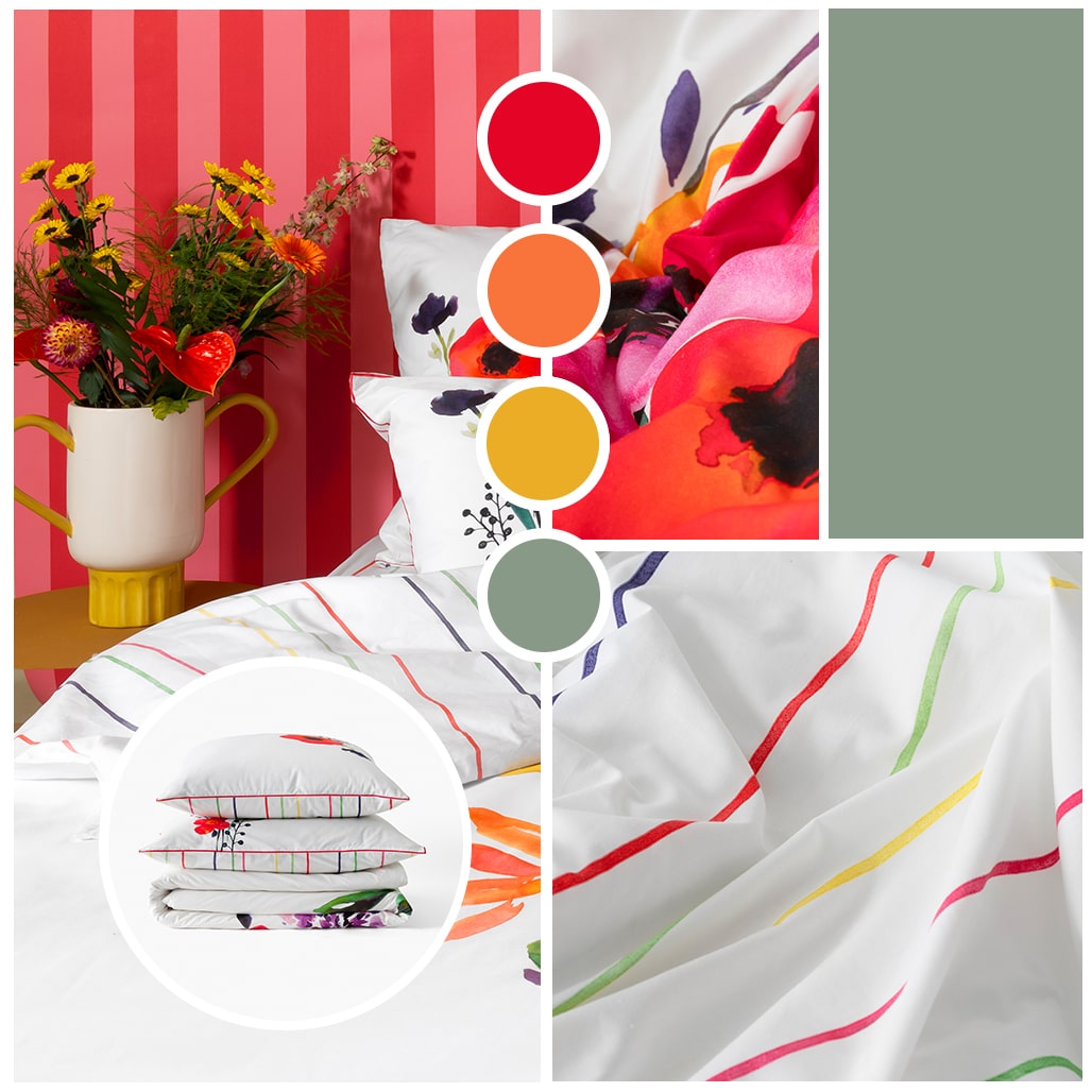 Collection Rosella